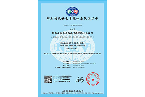 职业健康安全管理体系